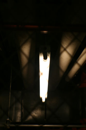 This is a pic on my homepage